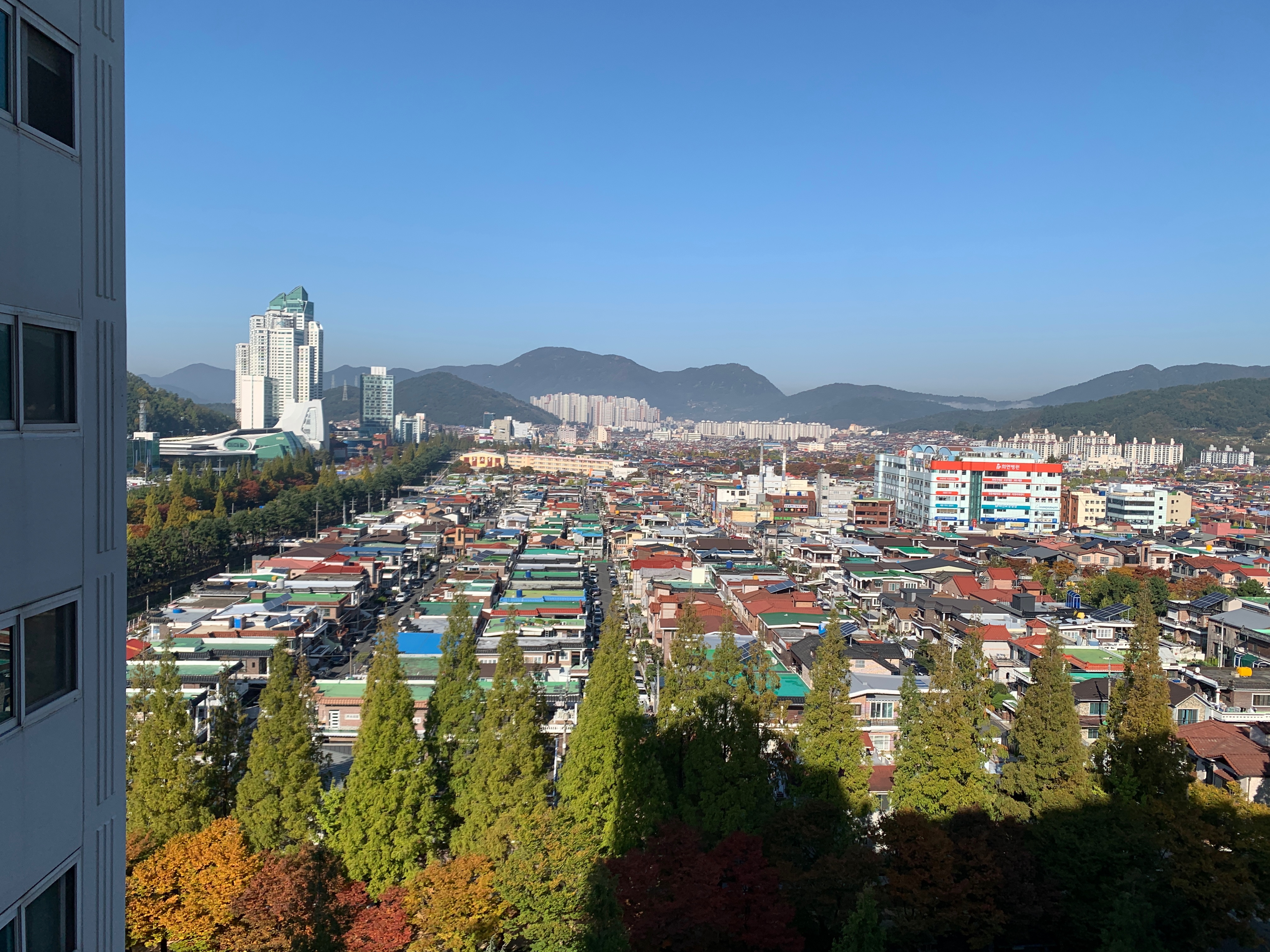 반림동 노블파크의 실거래가, 시세, 매물, 주변정보 | 아파트는 호갱노노