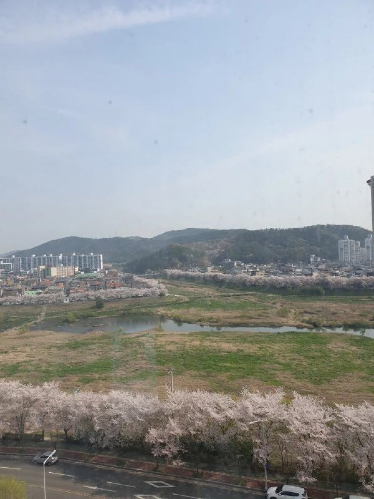 굴화주공강변그린빌4단지의 이야기 | 꽃이 피었네요 ~ 강변뷰 좋아요 ^^ㅎ