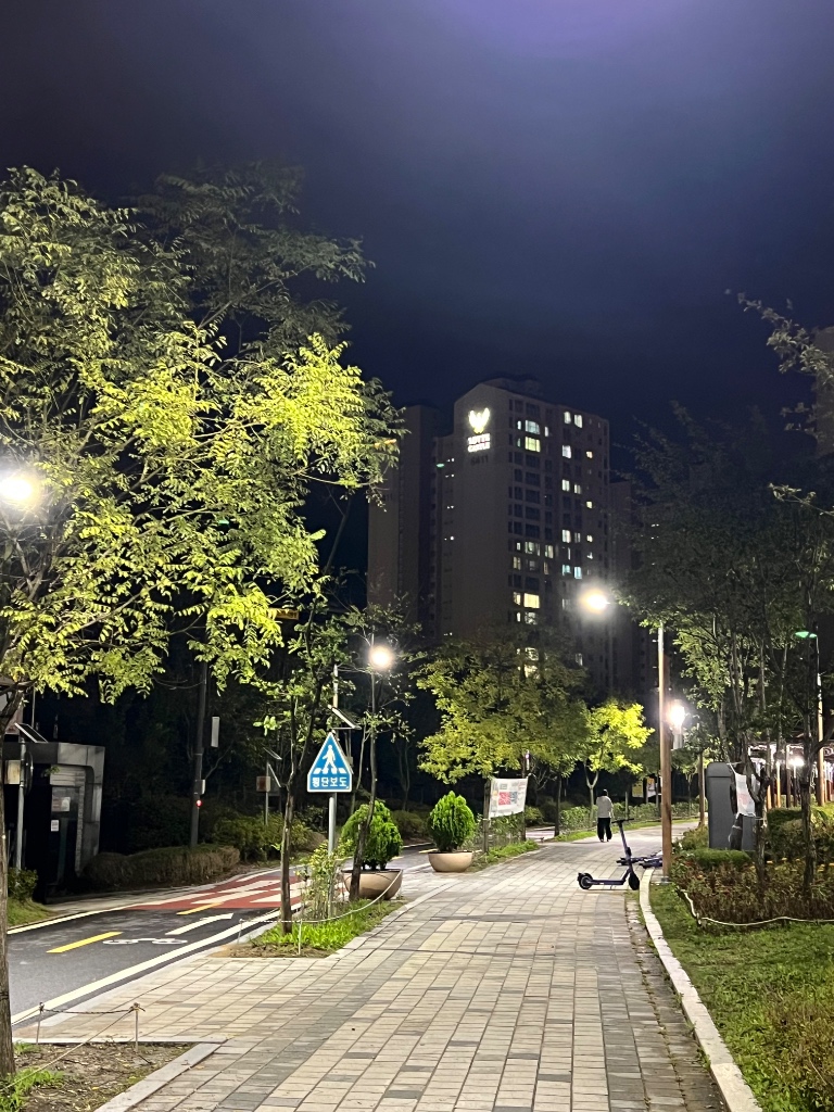 위례롯데캐슬 이야기 | 🌙 저녁 산책길이 이렇게 예쁜 곳 많을까요? 단지 앞 보행로 조명도 밝
