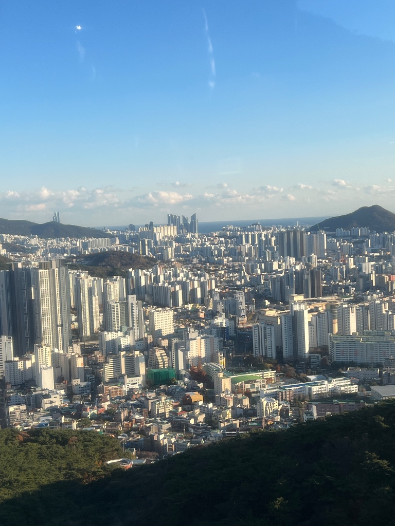 이안동래센트럴시티 이야기 | 우리 아파트 바로 앞 온천천 산책하기도 좋지만 우리 아파트 뒤로 조금만 이안동래센트럴시티 이야기 | 우리 아파트... 