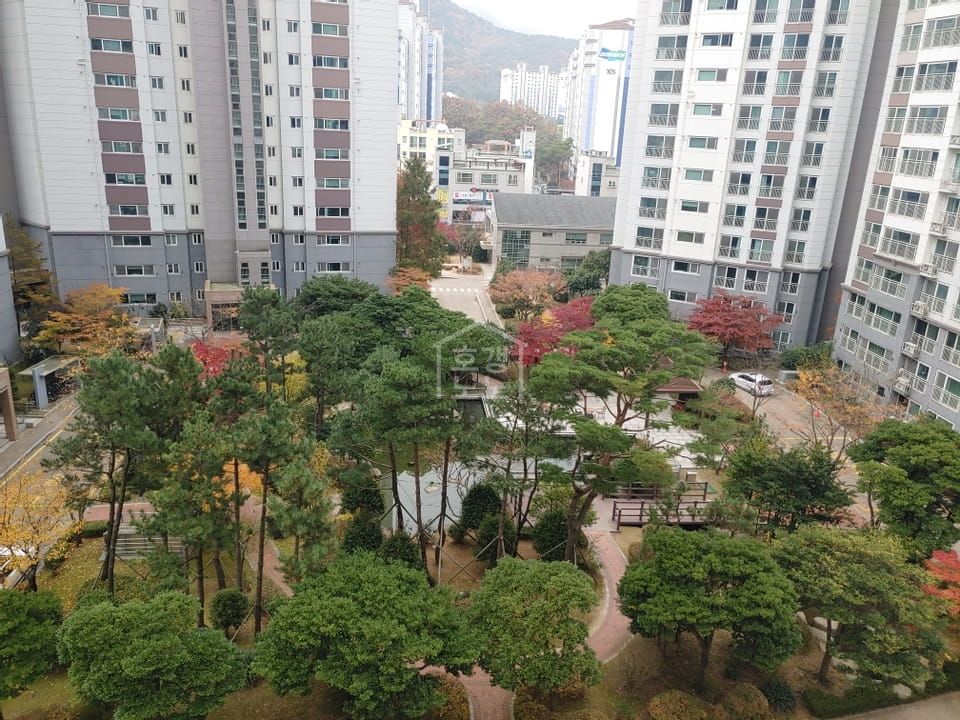 거제자이 매매 2억 6,500 | 아파트는 호갱노노